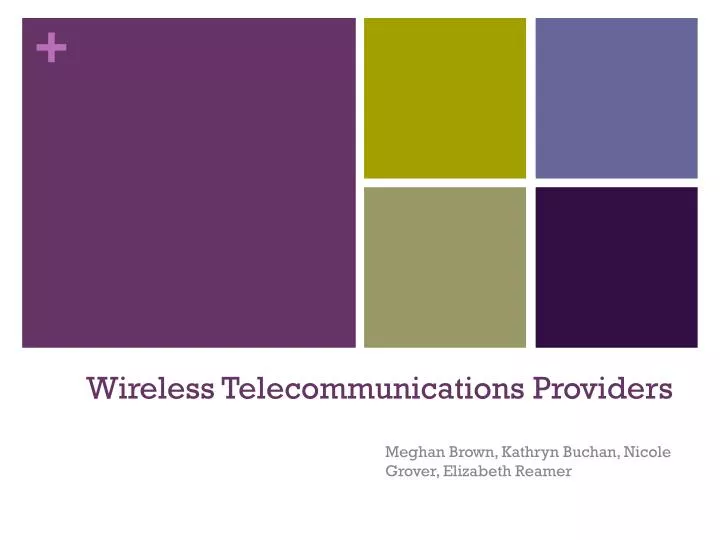 wireless telecommunications providers
