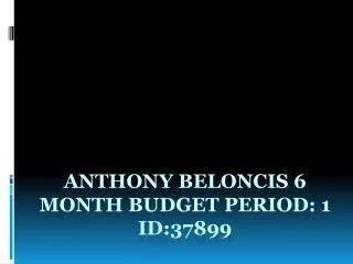 Anthony Beloncis 6 month Budget Period: 1 ID:37899