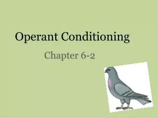 Operant Conditioning