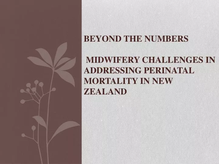 beyond the numbers midwifery challenges in addressing perinatal mortality in new zealand
