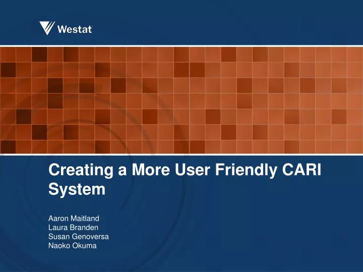 creating a more user friendly cari system