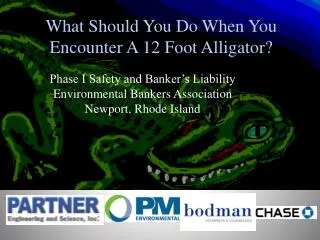 What Should You Do When You Encounter A 12 Foot Alligator?