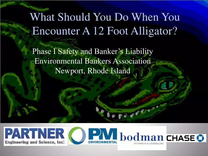 what should you do when you encounter a 12 foot alligator