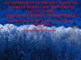 AN ASSESSMENT OF THE PSYCHOSOCIAL NEEDS OF RURAL CANCER PATIENTS LIVING IN THE ADIRONDACK REGION OF NORTHERN NY