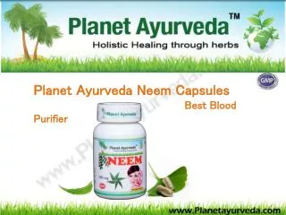 Planet Ayurveda Neem Capsules Best Blood Purifier