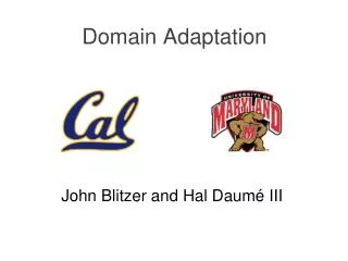 Domain Adaptation