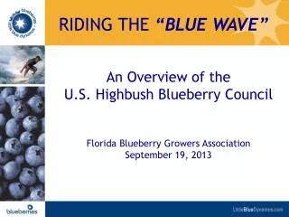 An Overview of the U.S. Highbush Blueberry Council Florida Blueberry Growers Association September 19, 2013