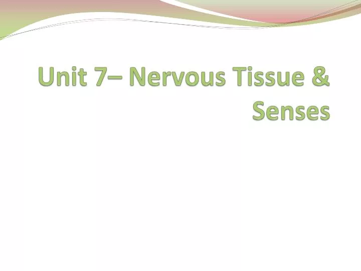 unit 7 nervous tissue senses