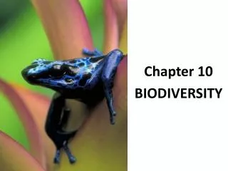 Chapter 10 BIODIVERSITY