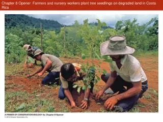 Chapter 8 Opener Farmers and nursery workers plant tree seedlings on degraded land in Costa Rica
