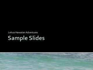Sample Slides
