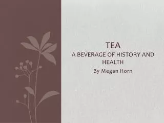 Tea A Beverage of History and Health