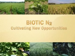 BIOTIC N 2 Cultivating New Opportunities