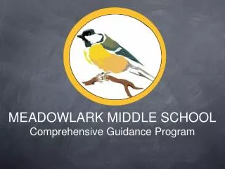 MEADOWLARK MIDDLE SCHOOL Comprehensive Guidance Program