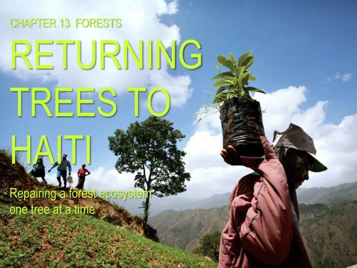 c hapter 13 forests returning trees to haiti repairing a forest ecosystem one tree at a time