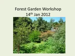 Forest Garden Workshop 14 th Jan 2012