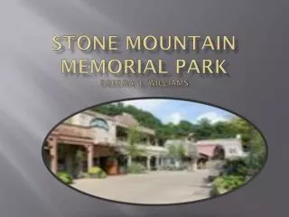 Stone Mountain Memorial Park Deedra L. Williams