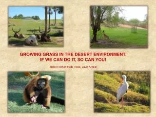 GROWING GRASS IN THE DESERT ENVIRONMENT: IF WE CAN DO IT, SO CAN YOU! Robin Fischer, Hilda Tresz, David Arnold