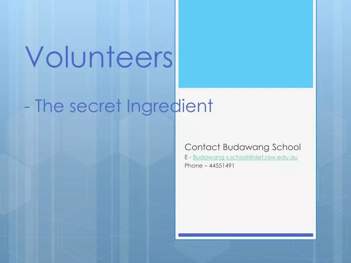 volunteers the secret ingredient