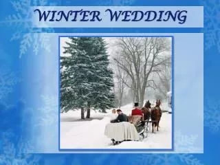 Winter Wedding