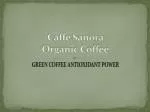Caffe Sanora Organic Coffee - slide 1