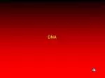 Understanding DNA Structure: Pyrimidines, Purines, and Nucleotides - slide 1