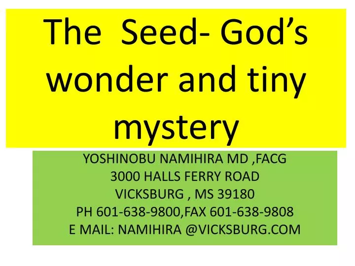 the seed god s wonder and tiny mystery