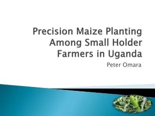 Precision M aize P lanting Among S mall H older F armers in Uganda
