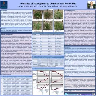 Tolerance of Six Legumes to Common Turf Herbicides James D. McCurdy and J. Scott McElroy; Auburn University, Auburn, AL.