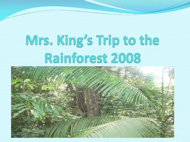 mrs king s trip to the rainforest 2008
