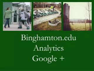 Binghamton.edu Analytics Google +
