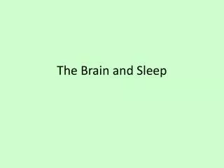 The Brain and Sleep