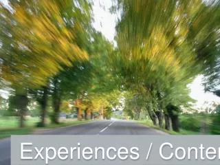 Experiences / Content