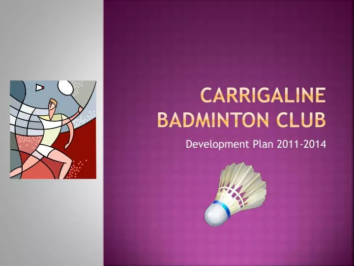 carrigaline badminton club