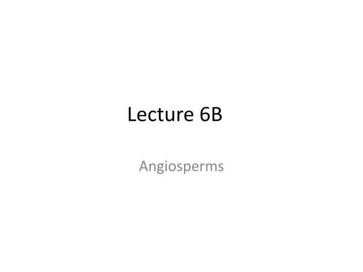 lecture 6b