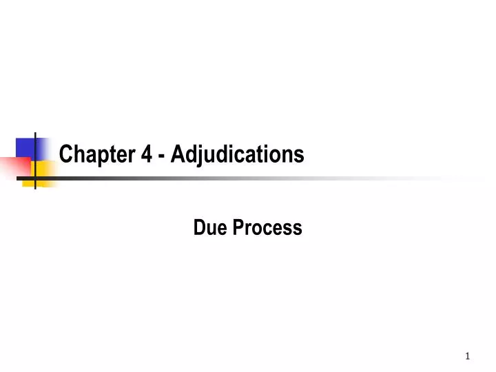chapter 4 adjudications