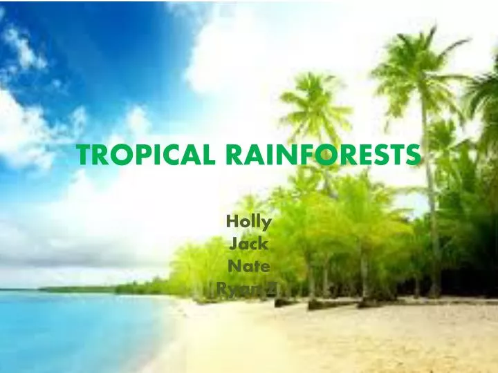 tropical rainforests