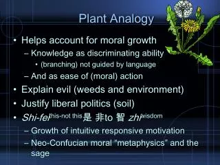 Plant Analogy