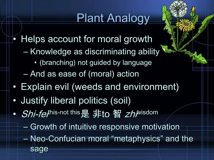 plant analogy