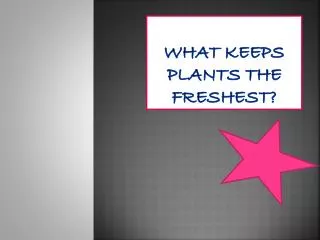 What keeps plants the freshest ?