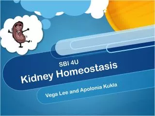 Kidney Homeostasis