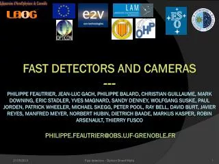Fast detectors FP6