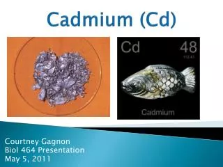 Cadmium ( Cd )