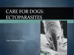 Care for Dogs: Ectoparasites - slide 1