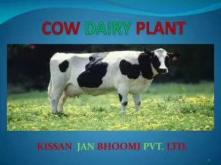 COW DAIRY PLANT