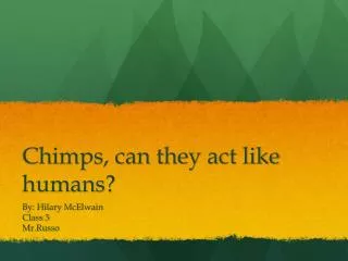 Chimps, can they act like humans?