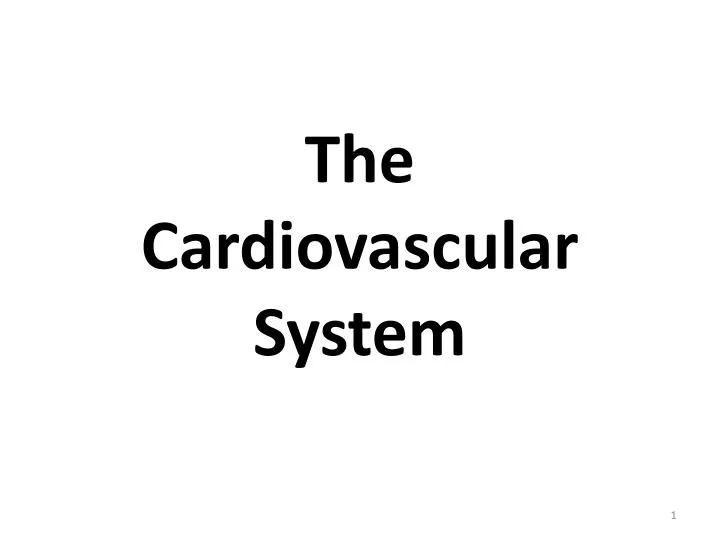 the cardiovascular system