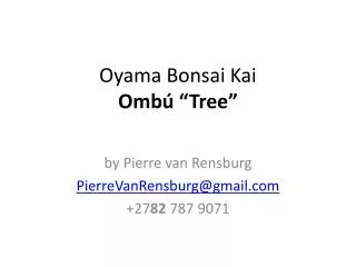 Oyama Bonsai Kai Ombú “Tree”