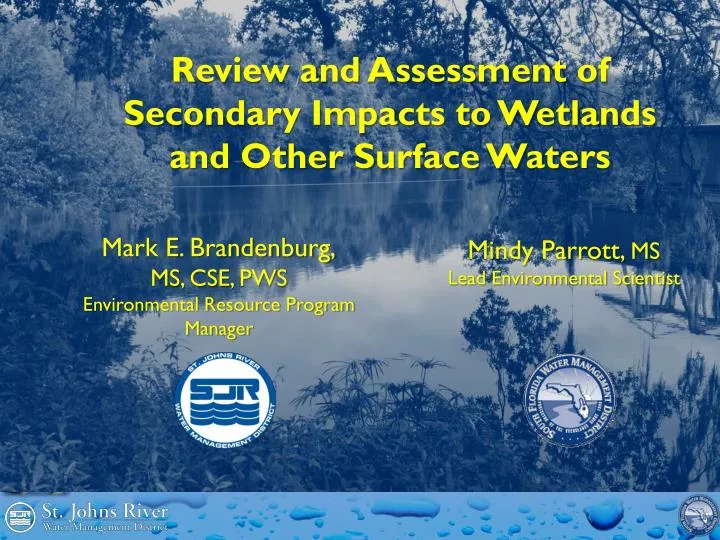 review and assessment of secondary impacts to wetlands and other surface waters