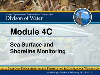 Module 4C Sea Surface and Shoreline Monitoring